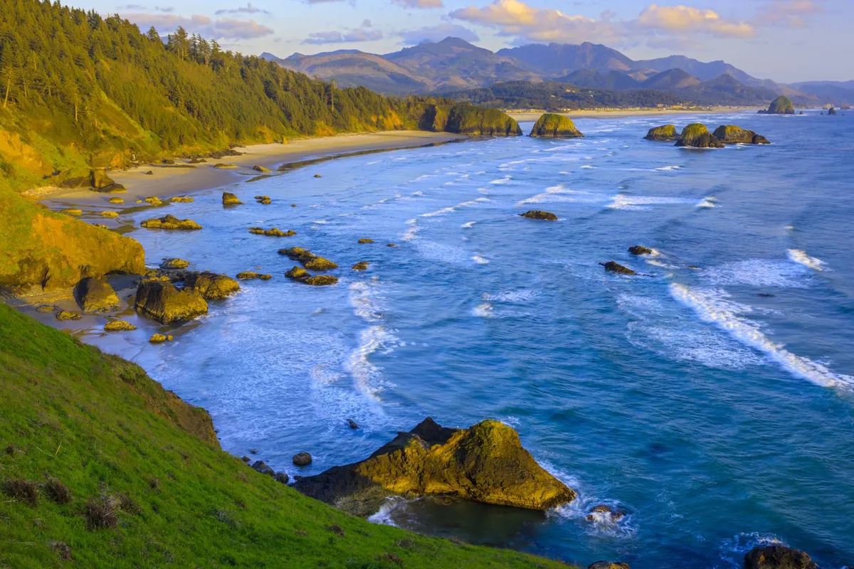 A sweeping view of the sandy beach, ocean waves, and rock formations under an open sky. The expansive shoreline suggests a perfect spot for beach walks, exploring, and letting pets splash in the surf, capturing the freedom and fun of a dog-friendly beach adventure.